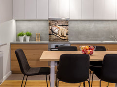 Glass kitchen backsplash BS22 Bakery products Series: Wheat Bread Bread 8