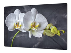 Induction Cooktop Cover – Glass Cutting Board- Flower series DD06B White orchid 3