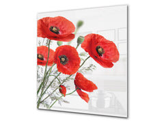 Protector antisalpicaduras baños y cocinas – BS03 Serie flores: Amapola En Un Fondo Blanco 2