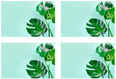 Niki - set of 4 boards