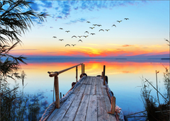 Order for Niki 70x50CM ENORMOUS Tempered GLASS Chopping Board