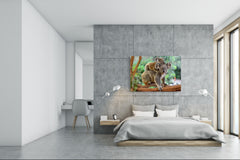 Glass Picture Wall Art - Picture on Glass SART03A Animals Series: Koala bears