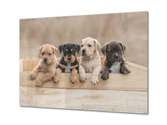 Glass Picture Wall Art - Picture on Glass SART03A Animals Series: Puppies sitting in a box