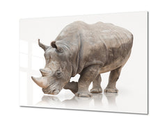 Glass Picture Wall Art - Picture on Glass SART03A Animals Series: Rhino on a white background