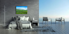 Modern Glass Picture - Contemporary Wall Art SART01 Nature Series: Tea plantations