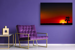 Glass Printed Picture - Wall Picture behind Tempered Glass SART01D Nature Series: Sunset in South Africa