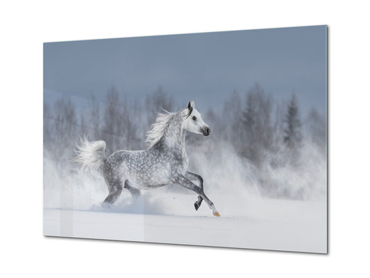 Wall Art - Glass Print Canvas Picture SART03B Animals Series: Horse galloping across snowy field