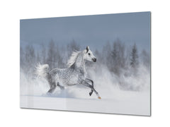 Wall Art - Glass Print Canvas Picture SART03B Animals Series: Horse galloping across snowy field