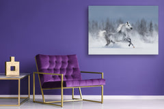 Wall Art - Glass Print Canvas Picture SART03B Animals Series: Horse galloping across snowy field
