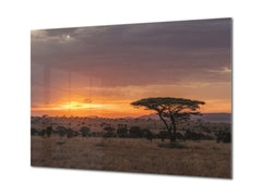 Glass Printed Picture - Wall Picture behind Tempered Glass SART01D Nature Series: The Serengeti