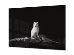 Wall Art - Glass Print Canvas Picture SART03B Animals Series: Arctic fox