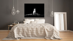 Wall Art - Glass Print Canvas Picture SART03B Animals Series: Arctic fox