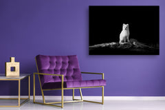 Wall Art - Glass Print Canvas Picture SART03B Animals Series: Arctic fox