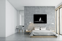 Wall Art - Glass Print Canvas Picture SART03B Animals Series: Arctic fox