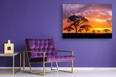 Glass Printed Picture - Wall Picture behind Tempered Glass SART01D Nature Series: Tree silhouette in Africa with sunset