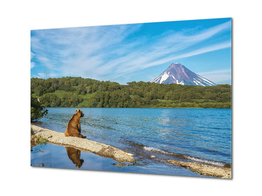 Glass Print Wall Art – Image on Glass SART01B Nature Series: Lonely bear on the lakeshore