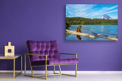 Glass Print Wall Art – Image on Glass SART01B Nature Series: Lonely bear on the lakeshore