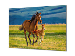 Glass Picture Wall Art - Picture on Glass SART03A Animals Series: Running horses