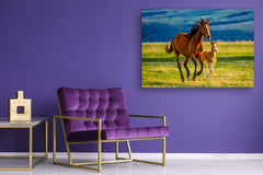 Glass Picture Wall Art - Picture on Glass SART03A Animals Series: Running horses