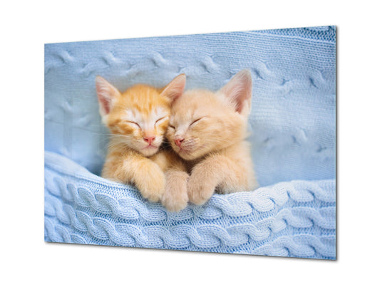Glass Picture Wall Art - Picture on Glass SART03A Animals Series: Baby cats sleeping