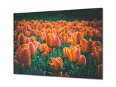 Modernes Glasbild - Zeitgenössische Wandkunst SART04 Blumen und Blätter Serie: Wiese mit rot-orangen Tulpen