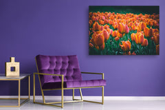 Modern Glass Picture - Contemporary Wall Art SART04 Flowers and leaves Series: Meadow of red orange tulips