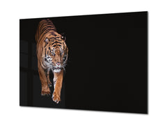 Wall Art - Glass Print Canvas Picture SART03B Animals Series: Tiger walking