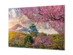 Modern Glass Picture - Contemporary Wall Art SART01 Nature Series: Full cherry blossom under Fuji mountain