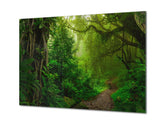 Modern Glass Picture - Contemporary Wall Art SART01 Nature Series: Tropical forest