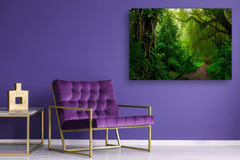 Modern Glass Picture - Contemporary Wall Art SART01 Nature Series: Tropical forest