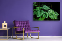 Modern Glass Picture - Contemporary Wall Art SART04 Flowers and leaves Series: Tropical plants