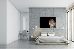 Wall Art - Glass Print Canvas Picture SART03B Animals Series: Tiger 2