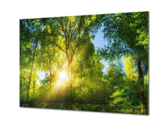 Cuadro de vidrio moderno - Arte mural contemporáneo SART01 Serie Naturaleza: Bosque verde vibrante