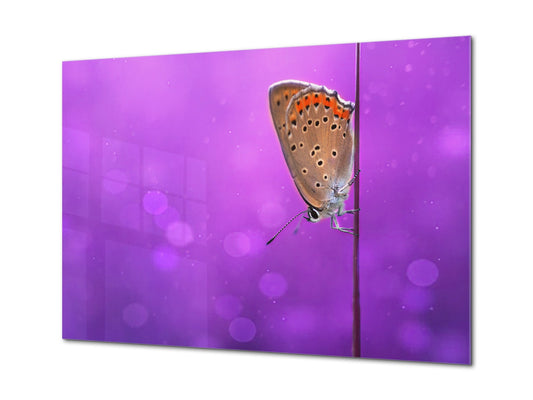 Wall Art - Glass Print Canvas Picture SART03B Animals Series: Butterfly on the purple background
