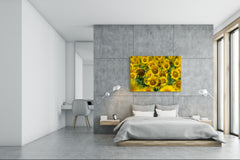 Cuadro de vidrio moderno - Arte mural contemporáneo SART04 Serie Flores y hojas: Hermoso campo de girasoles