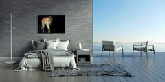 Wall Art - Glass Print Canvas Picture SART03B Animals Series: Young sumatran tiger