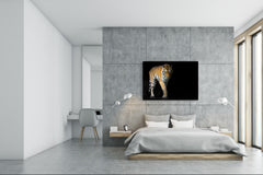 Wall Art - Glass Print Canvas Picture SART03B Animals Series: Young sumatran tiger