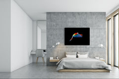 Wall Art - Glass Print Canvas Picture SART03B Animals Series: Beautiful colourful parrot