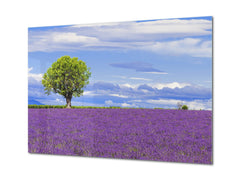 Glass Print Wall Art – Image on Glass SART01B Nature Series: Lavender field