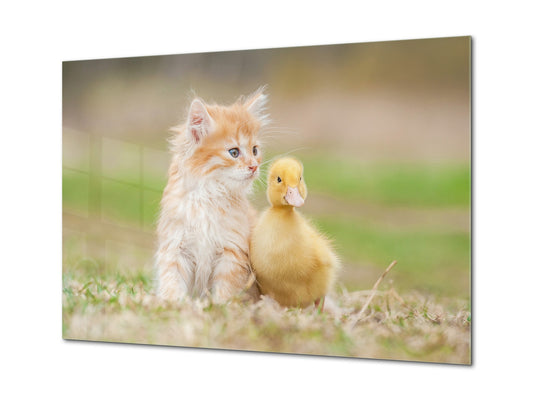 Wall Art - Glass Print Canvas Picture SART03B Animals Series: Red kitten with little duckling