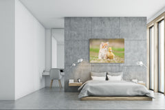 Wall Art - Glass Print Canvas Picture SART03B Animals Series: Red kitten with little duckling