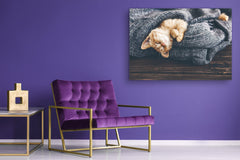 Wall Art - Glass Print Canvas Picture SART03B Animals Series: Cute little kitten