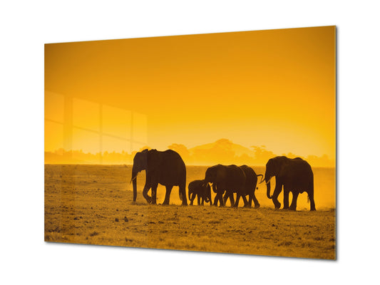 Wall Art - Glass Print Canvas Picture SART03B Animals Series: Silhouettes of elephants