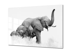 Arte de pared - Impresión en lienzo de vidrio Imagen SART03B Serie Animales: Fotografía en blanco y negro de una familia de elefantes