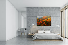 Modern Glass Picture - Contemporary Wall Art SART01 Nature Series: Beautiful autumn in Czech Republic