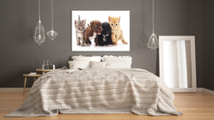 Glass Picture Wall Art - Picture on Glass SART03A Animals Series: Kittens and puppies