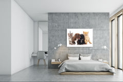 Glass Picture Wall Art - Picture on Glass SART03A Animals Series: Kittens and puppies