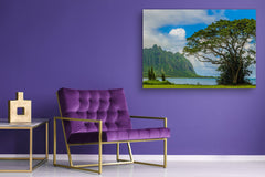 Modern Glass Picture - Contemporary Wall Art SART01 Nature Series: Panoramic view of the Koolau mountains in Hawaii