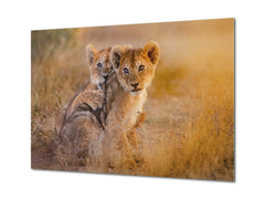 Glass Picture Wall Art - Picture on Glass SART03A Animals Series: Lion cubs playing
