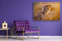 Glass Picture Wall Art - Picture on Glass SART03A Animals Series: Lion cubs playing